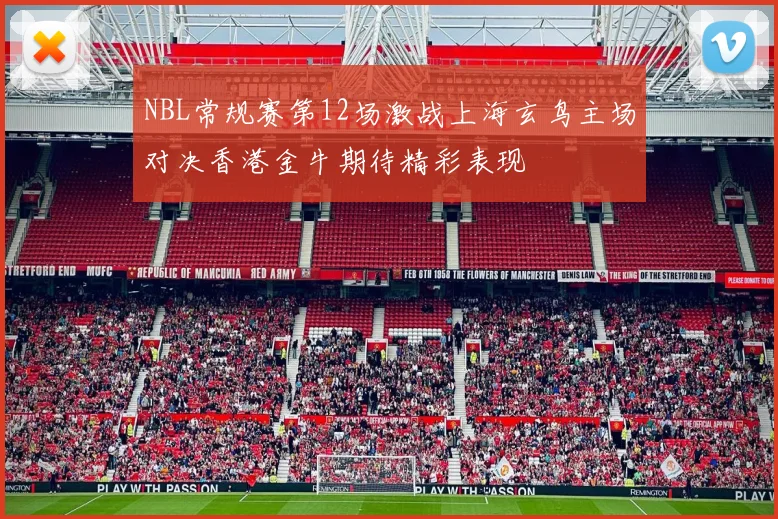 NBL常规赛第12场激战上海玄鸟主场对决香港金牛期待精彩表现